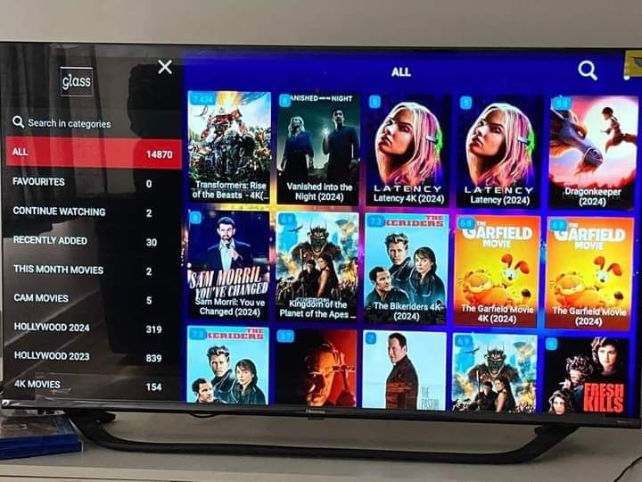 Camille L. review testimonial image for bexyiptv
